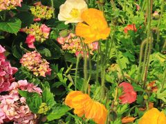 -人民公园(罗湖区)