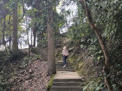 -贵州省植物园