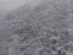 -秦岭风景区