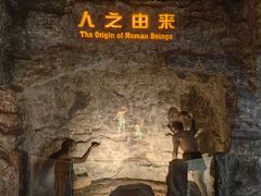 -国家自然博物馆