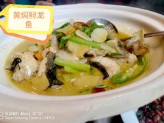 -饭怕鱼(阳光100店)