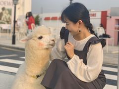 -Blue Concept Cafe&Farm·關於藍