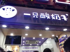 门面-一只酸奶牛(八一路店)