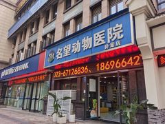 -瑞派名望24h动物医院异宠专科·猫专科·骨科·重症监护分院