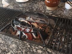 -蘑统田下·野生菌火锅