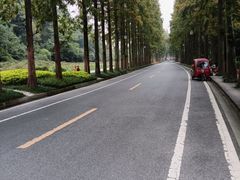-青城山