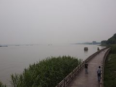 -鱼嘴湿地公园