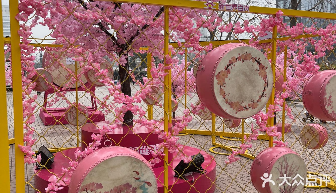 满树樱花朵朵开，花花世界的，出来逛街啊