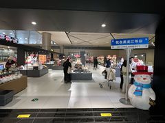 -哈尔滨太平国际机场-T2航站楼
