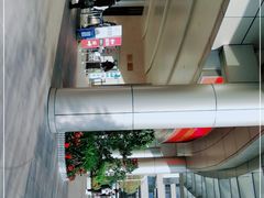 -深圳大学总医院