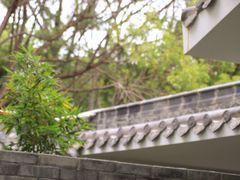 -四海公园(南山区)