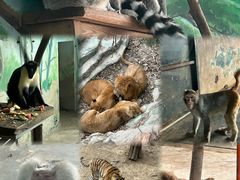 -大连森林动物园