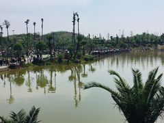 -枫香湖儿童公园