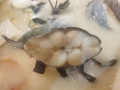 -云中鱼蒸汽石锅鱼(川沙百联店)