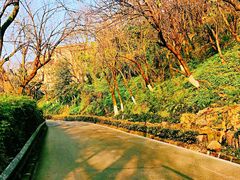 -重庆彩云湖湿地公园
