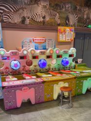 -卡通尼·Safari非洲探索乐园·生日会(金桥国际商业广场店)