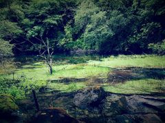 -叠溪松坪沟景区