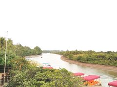 -东寨港红树林旅游区