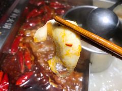 空运黄喉-渝利重庆火锅