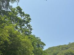 -濂泉响谷