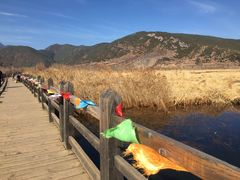 -泸沽湖国家级风景名胜区走婚桥