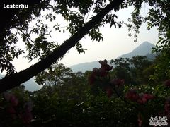 -太平山餐厅(山顶道店)
