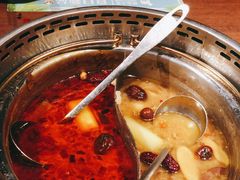 -快乐小羊·内蒙牛羊肉火锅(流花中心店)