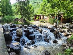 -白水寺森林公园