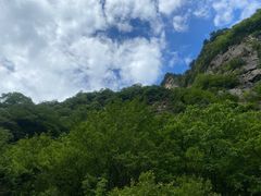 -青峰峡国家森林公园