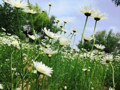 -汉长安城未央宫国家考古遗址公园