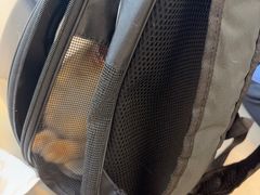 -宠颐生汉谟拉比宠物医院