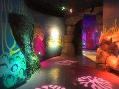 -沈阳海洋探索中心