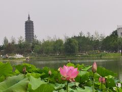 -西海子公园