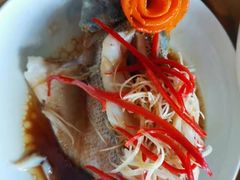 -田螺阿姨自营月嫂·育儿嫂(高新店)