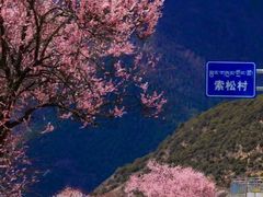 -米堆冰川