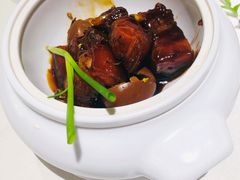 红烧肉-蝶园·装修中(BFC外滩金融中心店)