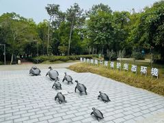 -广东惠东海龟国家级自然保护区