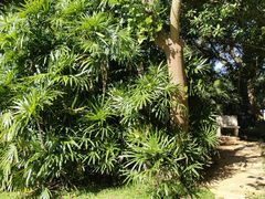 -北海市海滨公园