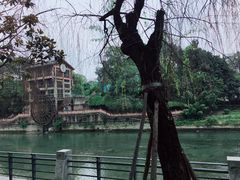 -成都市活水公园