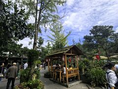 -青城甲(青城山店)