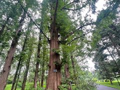 -国家植物园南园