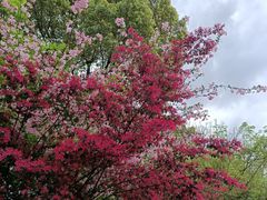 -杭州城北体育公园