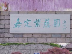 -嘉定紫藤园