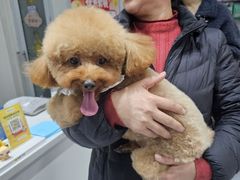 -心仪动物医院·牙专科·肿瘤·心脏科(西客站院)