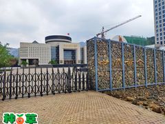 -黄金博物馆