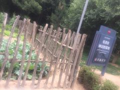 -延安杨家岭革命旧址