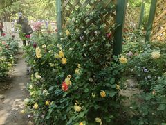 -天津五大道文化旅游区