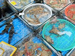 -船奇蒸汽海鲜·闽菜(八市海鲜总店)