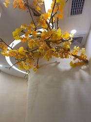 -芳朵美容养生SPA