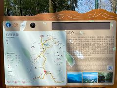 -西湖风景区十里琅珰-五云山
